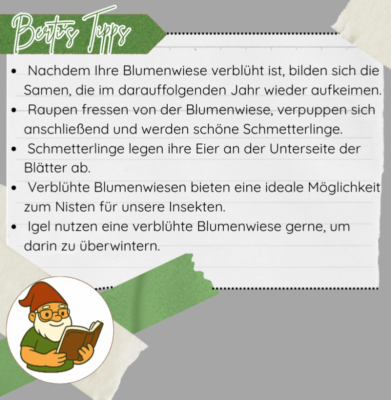  Nachdem Ihre Blumenwiese verblüht ist, bilden sich die Samen, die im darauffolgenden Jahr wieder aufkeimen. Raupen fressen von der Blumenwiese, verpuppen sich anschließend und werden schöne Schmetterlinge.
 Schmetterlinge legen ihre Eier an der Unterseite der Blätter ab.
 Verblühte Blumenwiesen bieten eine ideale Möglichkeit zum Nisten für unsere Insekten.
 Igel nutzen eine verblühte Blumenwiese gerne, um darin zu überwintern.