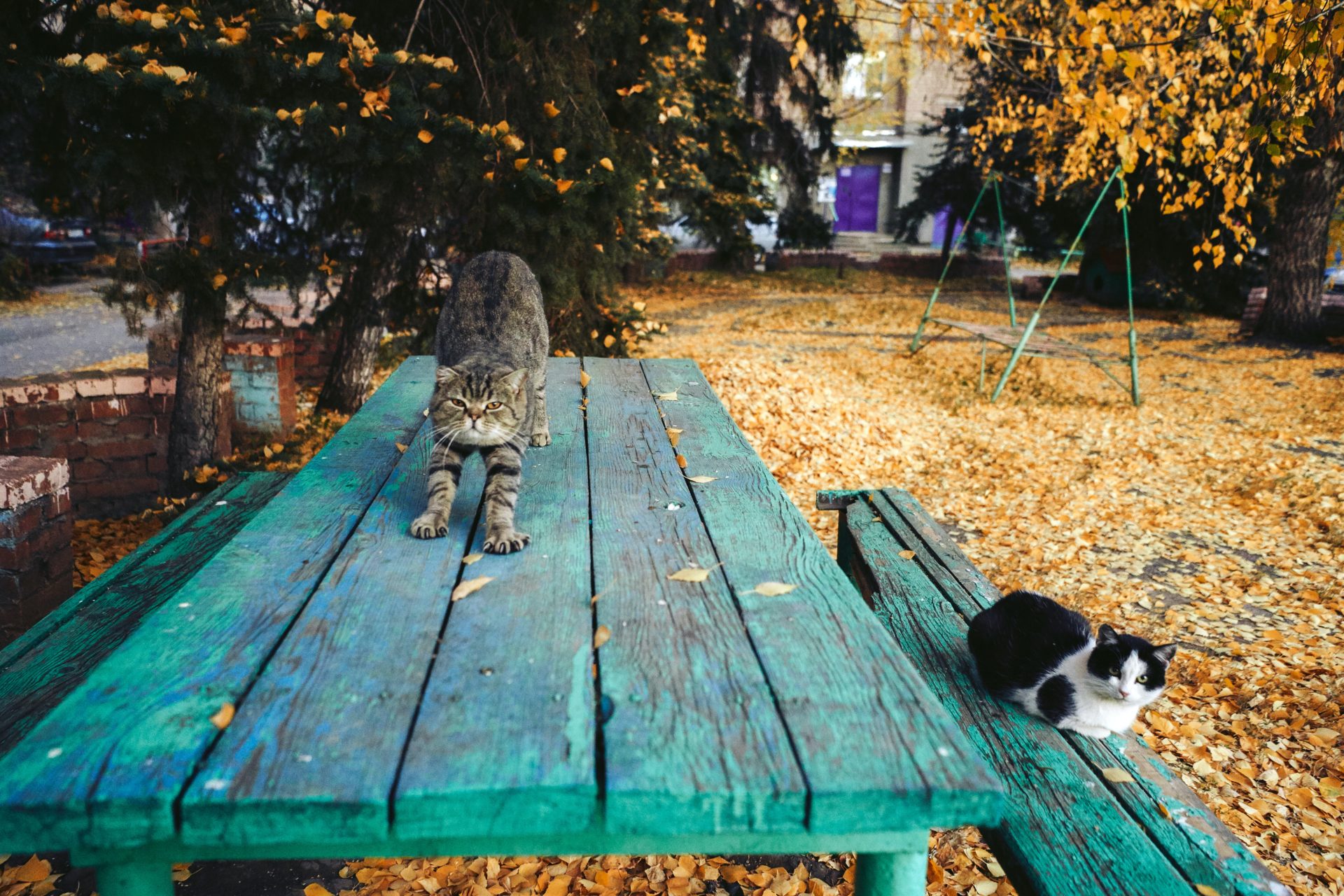 Tierhaltung im Garten Kleintiere als liebenswerte Gäste Gartenzaun