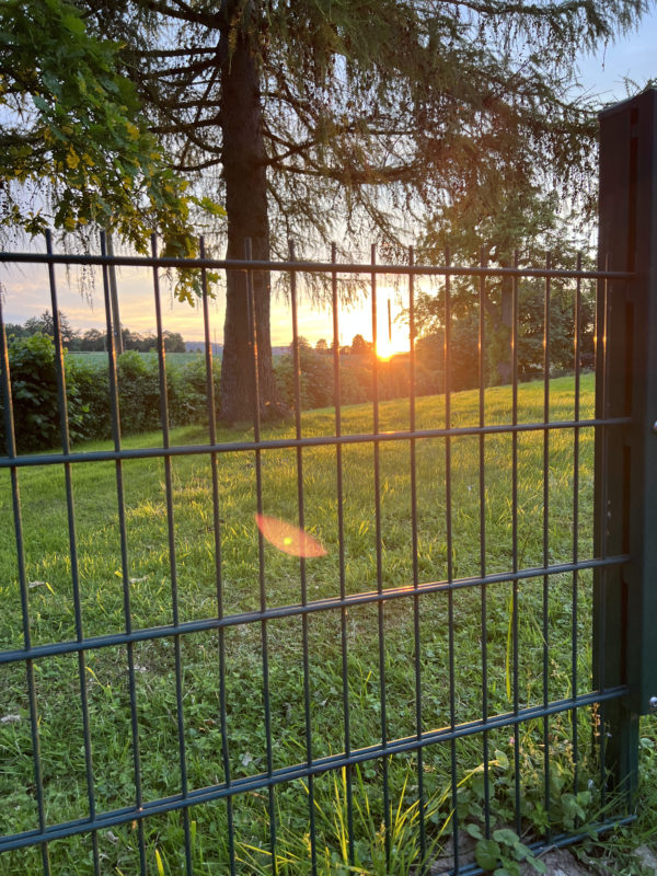 Ein stabiler Zaun aus unseren Doppelstabmatten bei Sonnenuntergang.