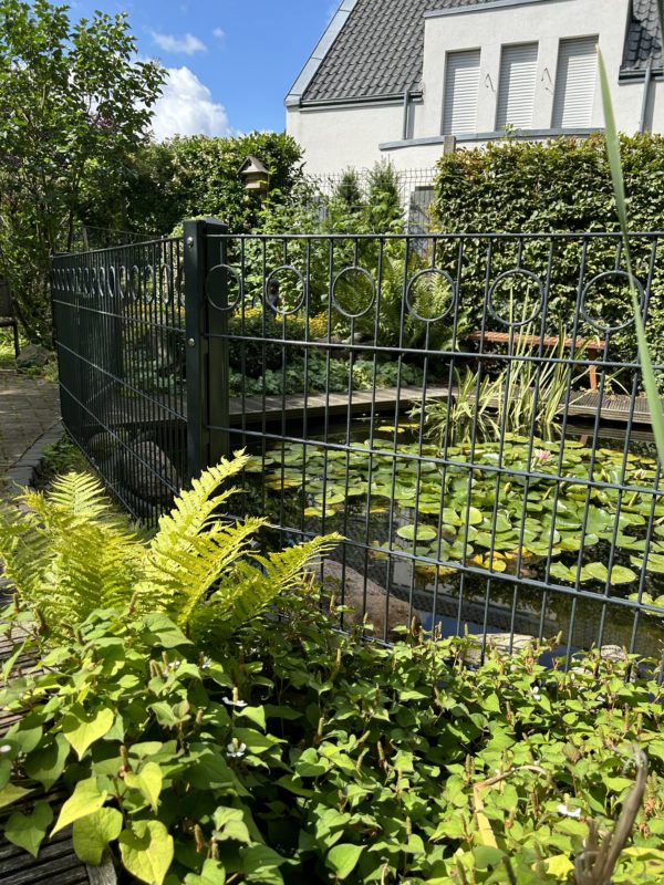 Zu den Gartenarbeiten im Jahresverlauf zählt auch die Bewässerung im Sommer für üppiges Grün.